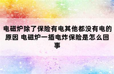 电磁炉除了保险有电其他都没有电的原因 电磁炉一插电炸保险是怎么回事